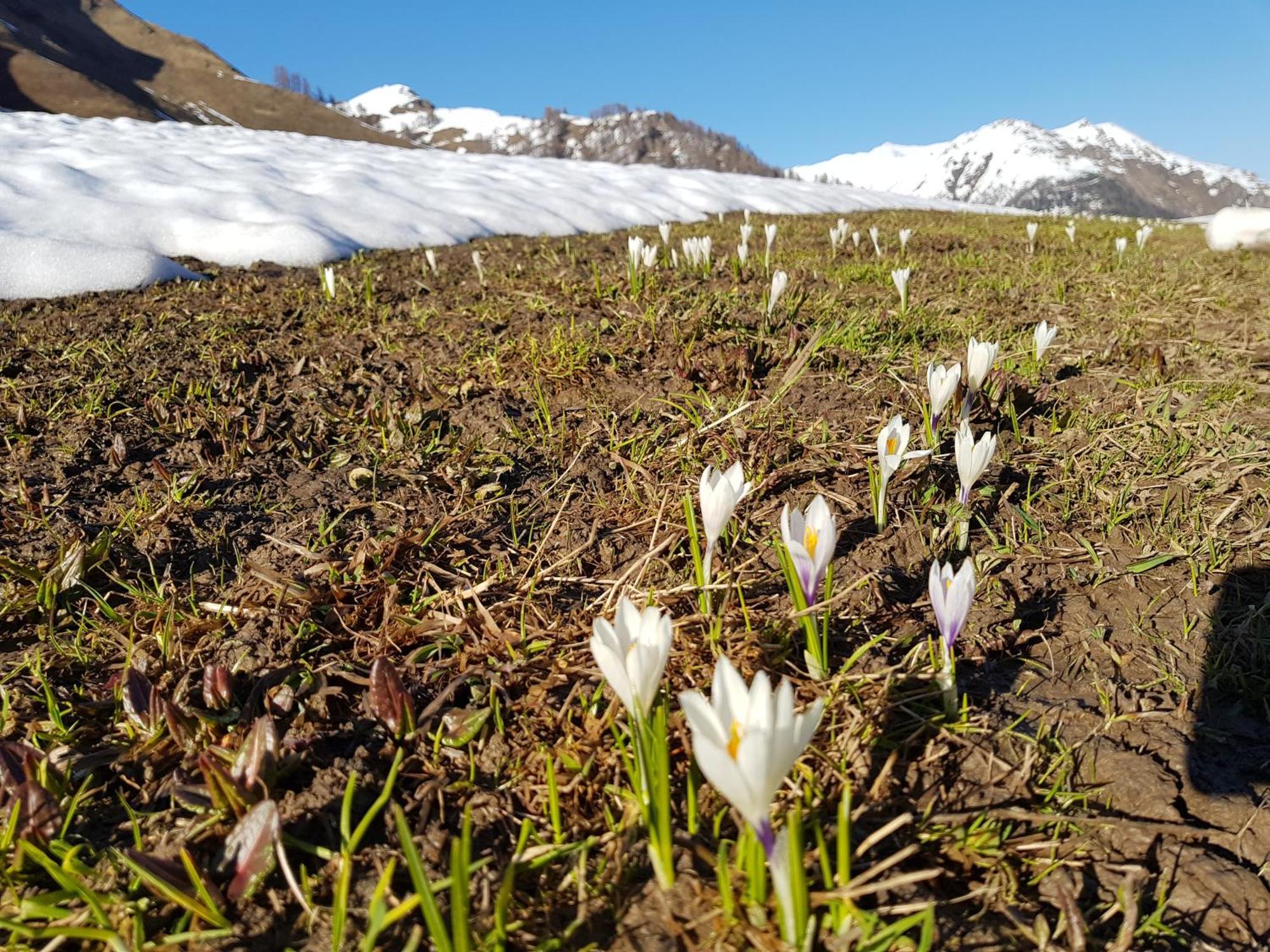Apart Foresta Замнаун Экстерьер фото